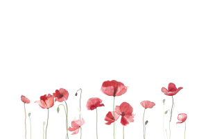 Hypnose à La Gacilly Mélanie Choquel Hypnothérapeute